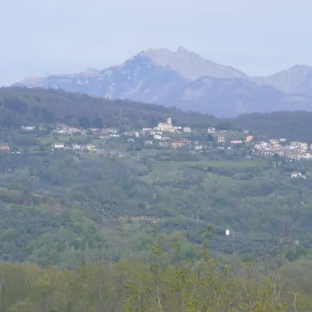 Ferienhaus Casa Olivola (Massa and Carrara)
