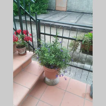 Casa * Olivola (Massa and Carrara)